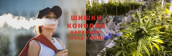 Альфа ПВП Арсеньев