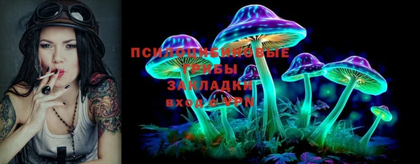 Альфа ПВП Арсеньев