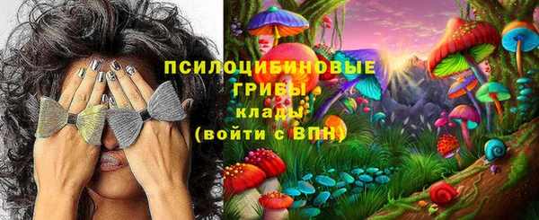 Альфа ПВП Арсеньев
